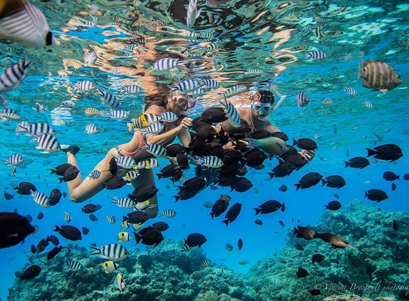 Et par som snorkler blant tropiske fisker på Bora Bora