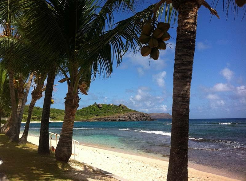 Kokospalmer gir skygge til stranda