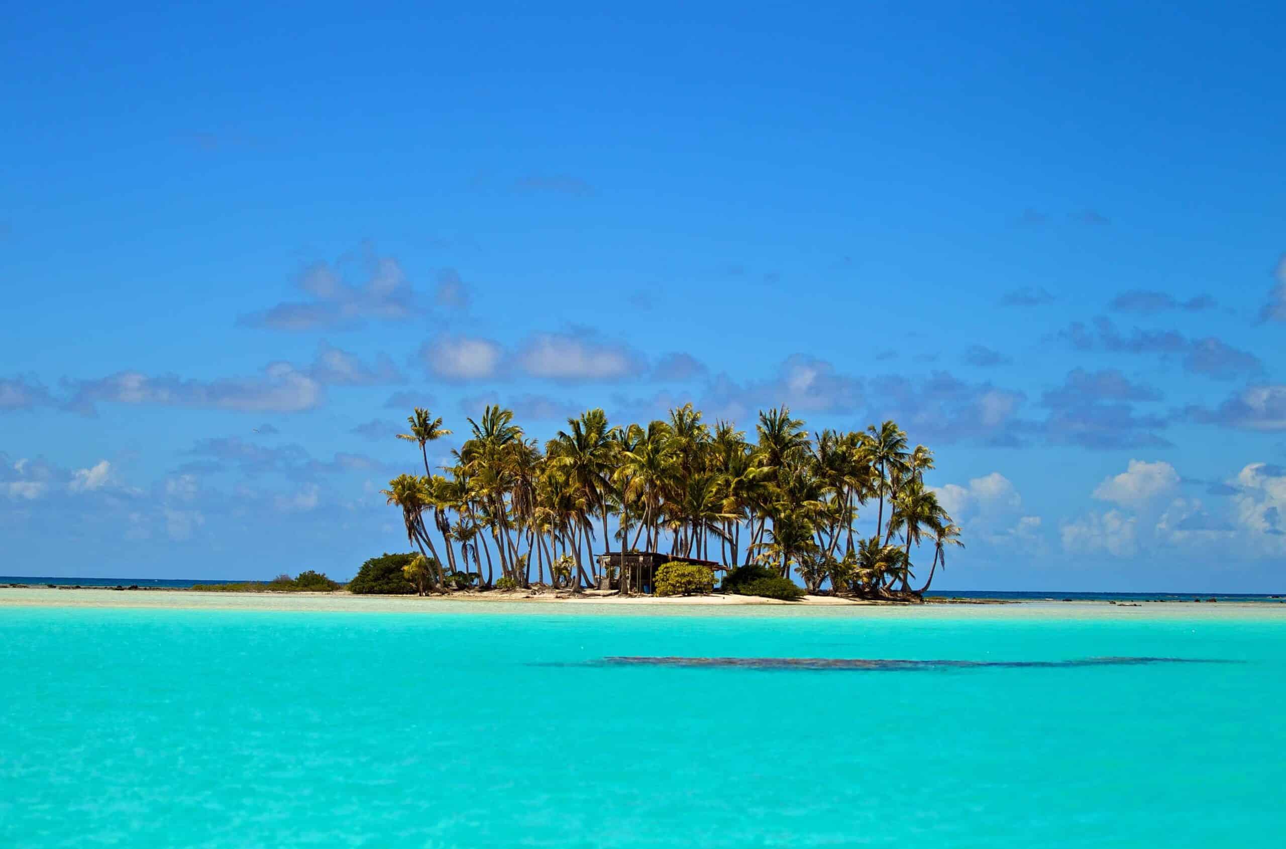 En sandbank med palmer med blå himmel og turkist vann
