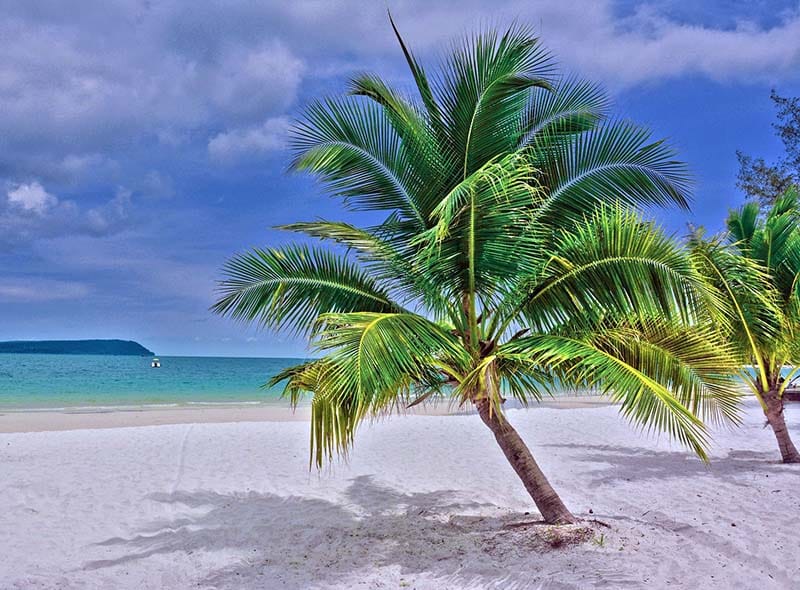 Nydelig sandstrand med blå himmel og små palmer
