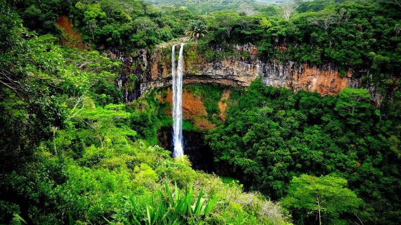 Mauritius. Bilde av en lang og flott foss i skogen på Mauritius